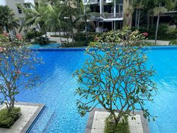 Terrasse (D19), Condominium #606844751